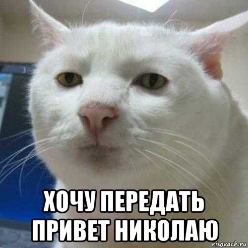  хочу передать привет николаю