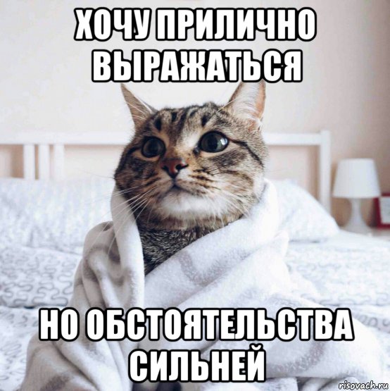 хочу прилично выражаться но обстоятельства сильней