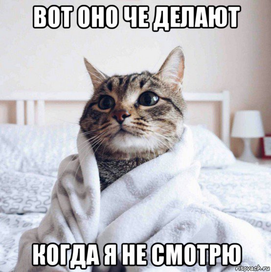 вот оно че делают когда я не смотрю