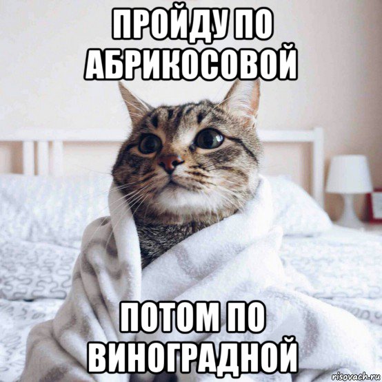 пройду по абрикосовой потом по виноградной