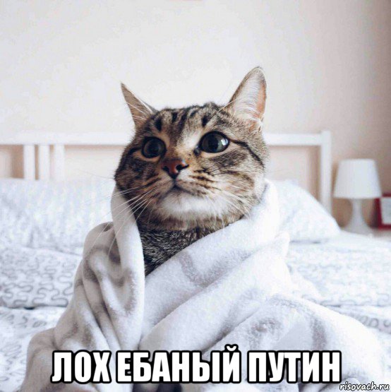  лох ебаный путин