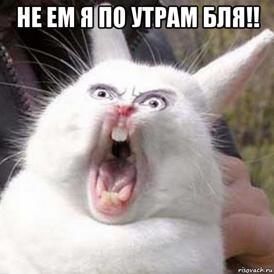 не ем я по утрам бля!! 