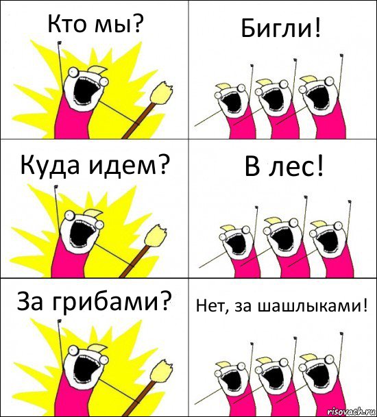 Кто мы? Бигли! Куда идем? В лес! За грибами? Нет, за шашлыками!