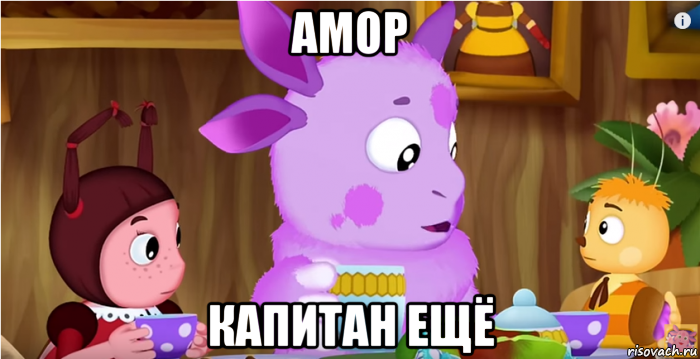 амор капитан ещё