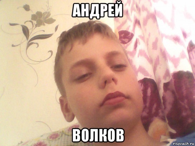 андрей волков