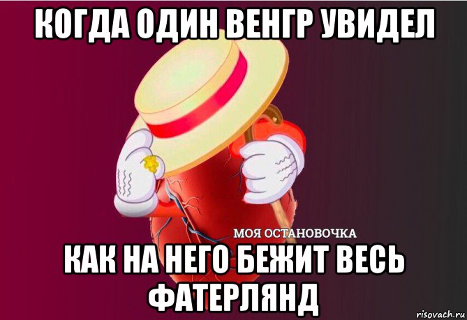 когда один венгр увидел как на него бежит весь фатерлянд, Мем   Моя остановочка