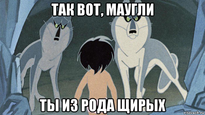 так вот, маугли ты из рода щирых, Мем Мультик маугли-районы кварталы