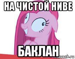 на чистой ниве баклан