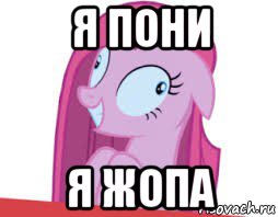 я пони я жопа