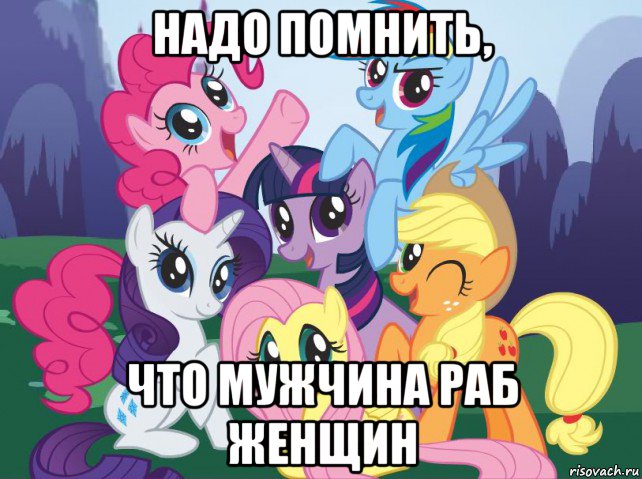 надо помнить, что мужчина раб женщин, Мем My little pony