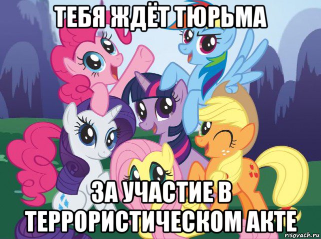 тебя ждёт тюрьма за участие в террористическом акте, Мем My little pony