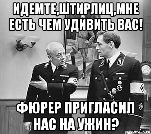 идемте,штирлиц,мне есть чем удивить вас! фюрер пригласил нас на ужин?