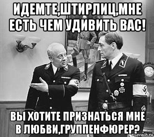 идемте,штирлиц,мне есть чем удивить вас! вы хотите признаться мне в любви,группенфюрер?