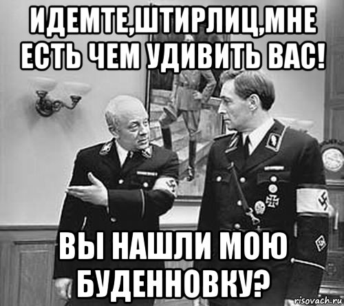 идемте,штирлиц,мне есть чем удивить вас! вы нашли мою буденновку?