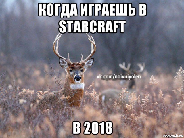 когда играешь в starcraft в 2018, Мем Наивный Олень vk