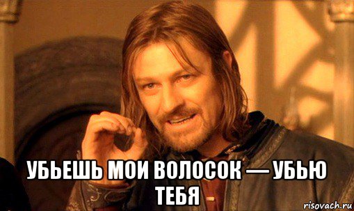  убьешь мои волосок — убью тебя, Мем Нельзя просто так взять и (Боромир мем)