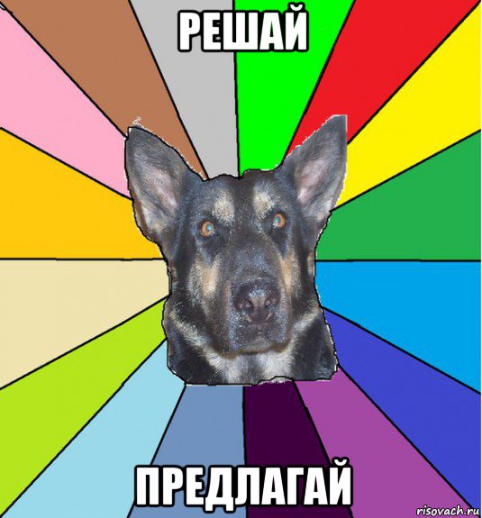 решай предлагай