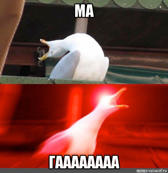 ма гаааааааа