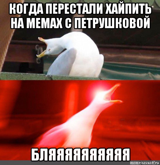 когда перестали хайпить на мемах с петрушковой бляяяяяяяяяя