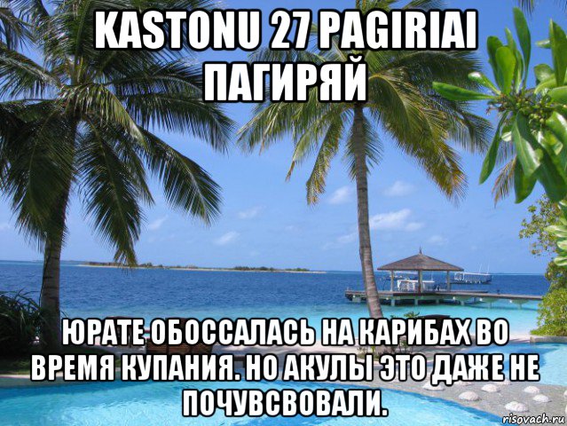 kastonu 27 pagiriai пагиряй юрате обоссалась на карибах во время купания. но акулы это даже не почувсвовали.