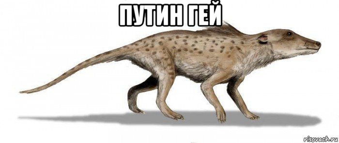 путин гей 