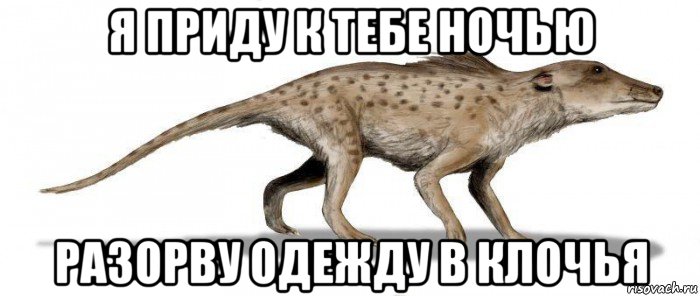 я приду к тебе ночью разорву одежду в клочья