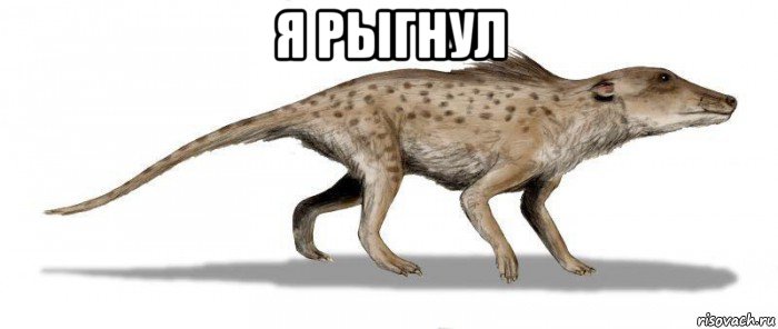 я рыгнул 