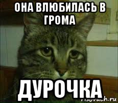 она влюбилась в грома дурочка, Мем печальный кот