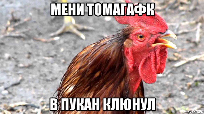 мени томагафк в пукан клюнул
