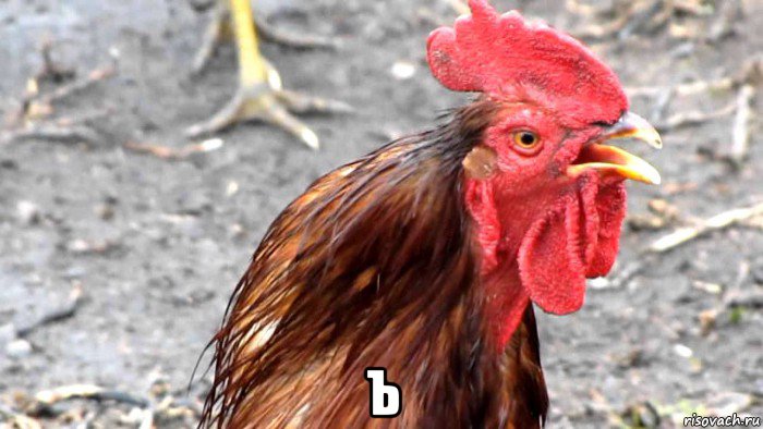  ъ