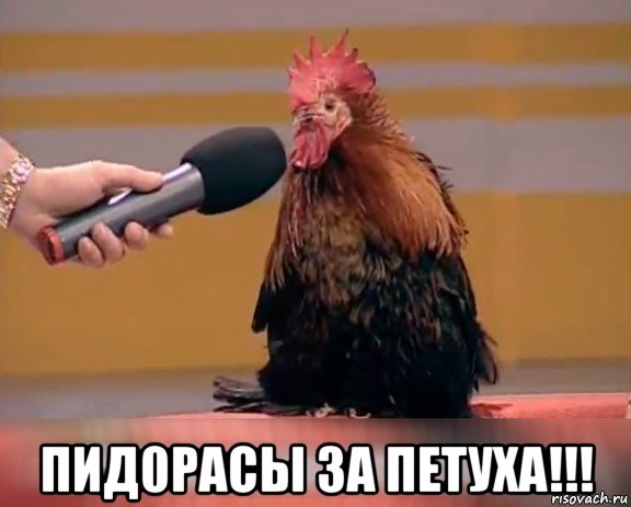  пид0расы за петуха!!!
