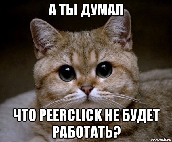 а ты думал что peerclick не будет работать?