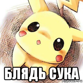  блядь сука