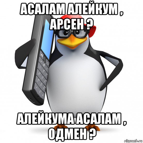 асалам алейкум , арсен ? алейкума асалам , одмен ?, Мем   Пингвин звонит