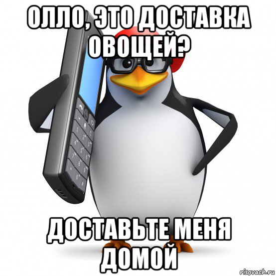 олло, это доставка овощей? доставьте меня домой, Мем   Пингвин звонит