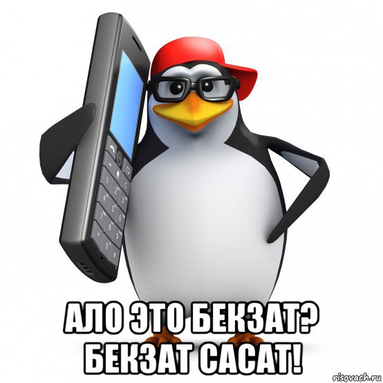  ало это бекзат? бекзат сасат!, Мем   Пингвин звонит