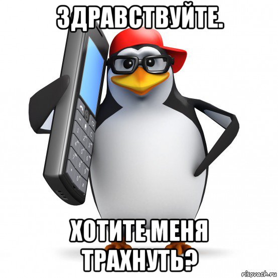 здравствуйте. хотите меня трахнуть?, Мем   Пингвин звонит