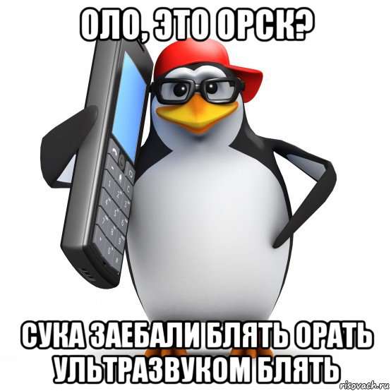 оло, это орск? сука заебали блять орать ультразвуком блять, Мем   Пингвин звонит