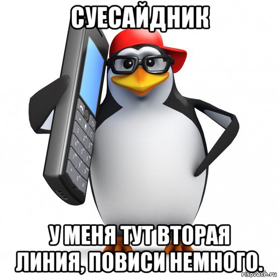 суесайдник у меня тут вторая линия, повиси немного., Мем   Пингвин звонит