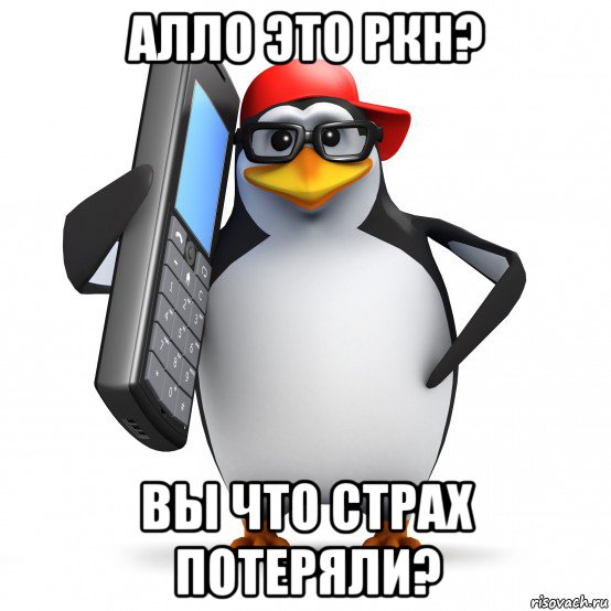 алло это ркн? вы что страх потеряли?, Мем   Пингвин звонит