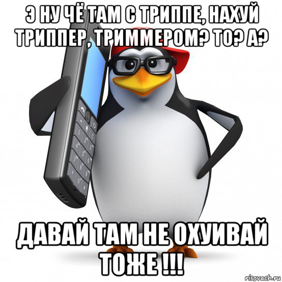 э ну чё там с триппе, нахуй триппер, триммером? то? а? давай там не охуивай тоже !!!, Мем   Пингвин звонит