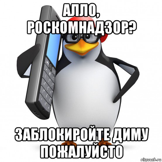 алло, роскомнадзор? заблокиройте диму пожалуйсто, Мем   Пингвин звонит