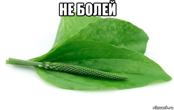 не болей 