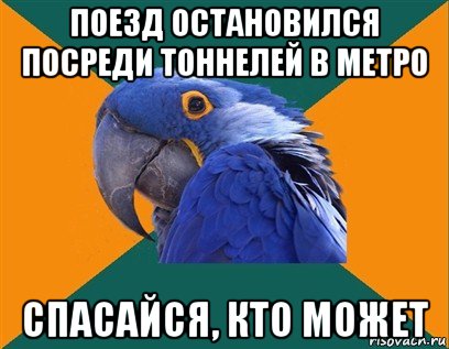 поезд остановился посреди тоннелей в метро спасайся, кто может, Мем Попугай параноик