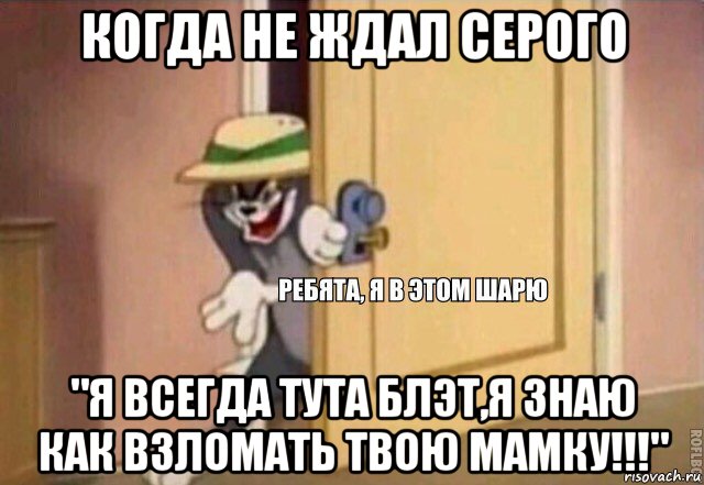 когда не ждал серого "я всегда тута блэт,я знаю как взломать твою мамку!!!", Мем    Ребята я в этом шарю