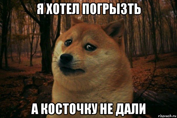 я хотел погрызть а косточку не дали, Мем SAD DOGE