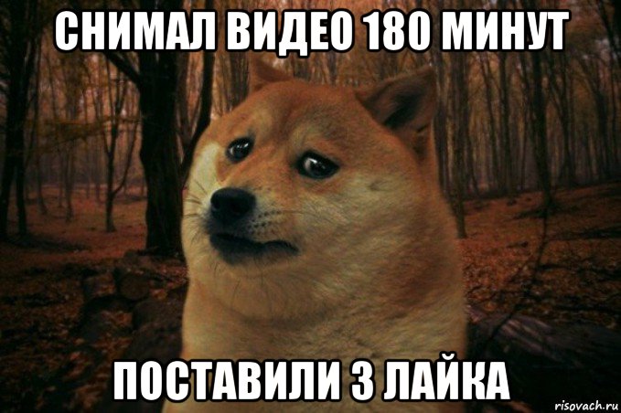 снимал видео 180 минут поставили 3 лайка, Мем SAD DOGE