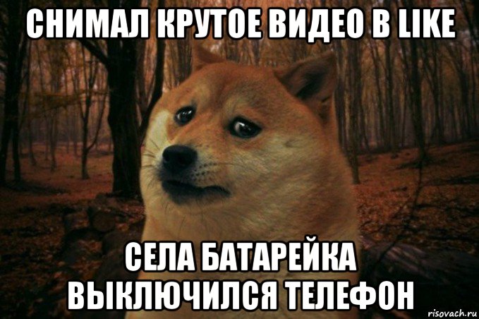 снимал крутое видео в like села батарейка выключился телефон, Мем SAD DOGE