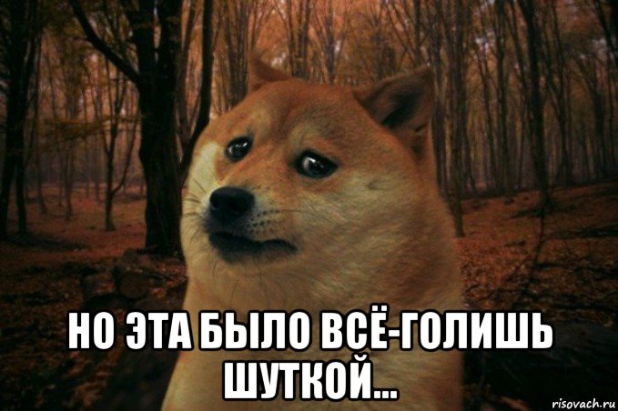  но эта было всё-голишь шуткой..., Мем SAD DOGE