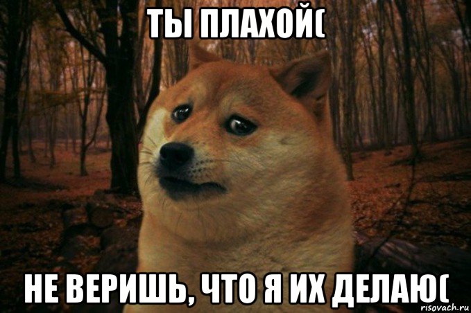 ты плахой( не веришь, что я их делаю(, Мем SAD DOGE